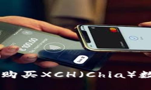 在TPWallet中如何购买XCH（Chia）数字货币的完整指南